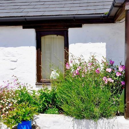 Stunning Annexe 1 Luxury Bedroom, Eating Area & Bathroom Only! Truro Exterior foto